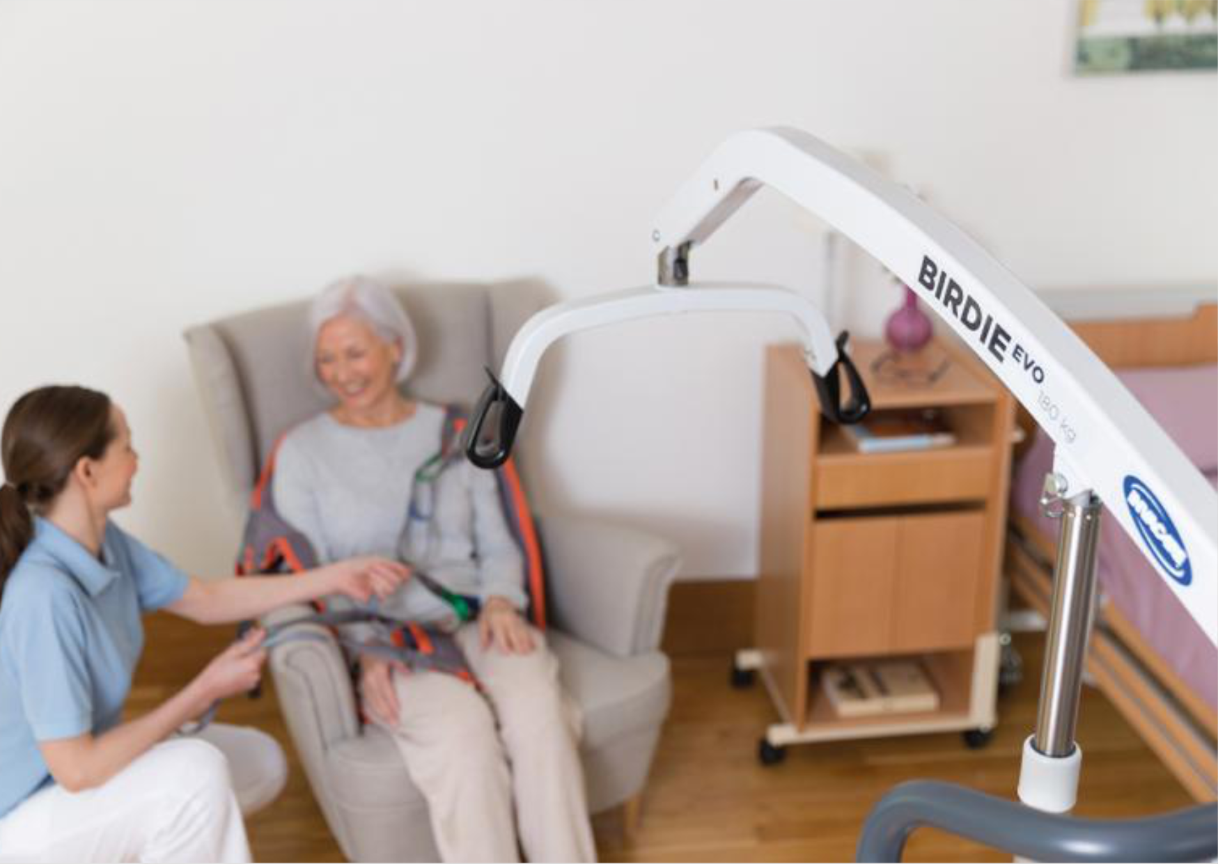 Birdie Evo - Mobile Hoist