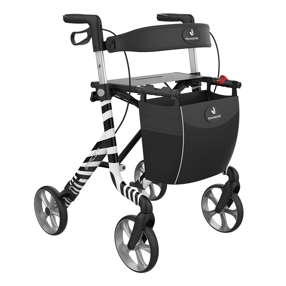 Space LX Walker